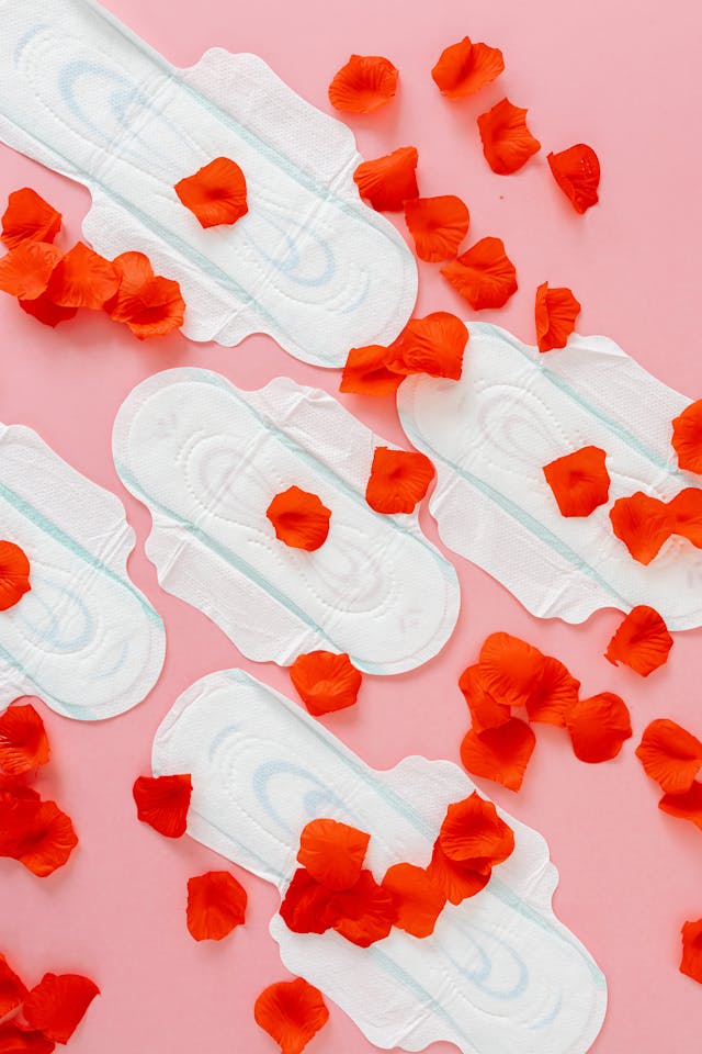 Las 4 Estaciones del Ciclo Menstrual