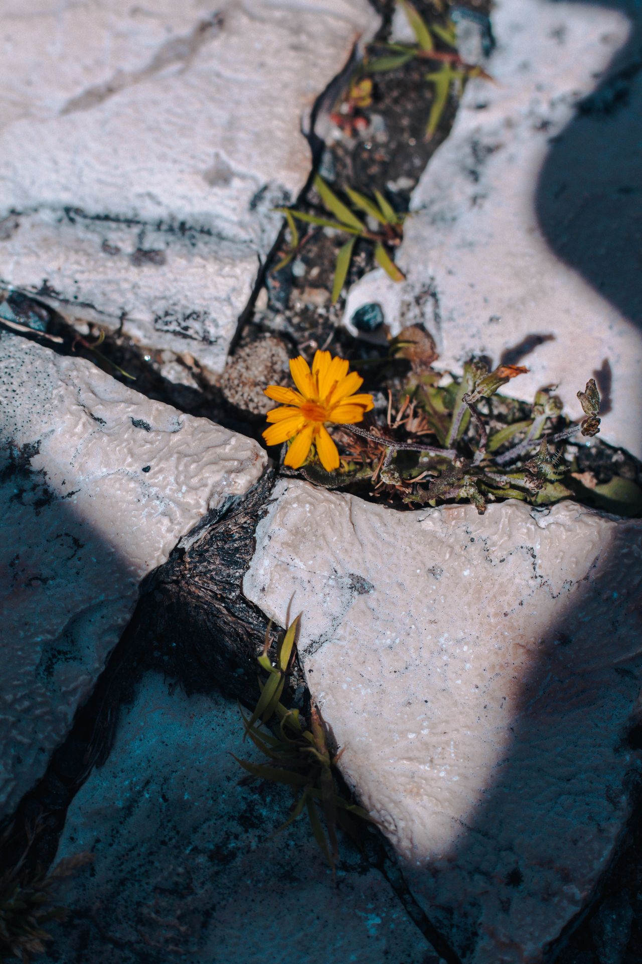 El arte de reinventarte cuando la vida te mueve el suelo