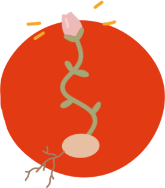 Transitar la maternidad o la (in)fertilidad